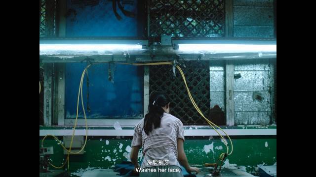 刘刚《烟花两三朵》入围FIRST主竞赛,熨烫工邬霞的隐秘诗篇