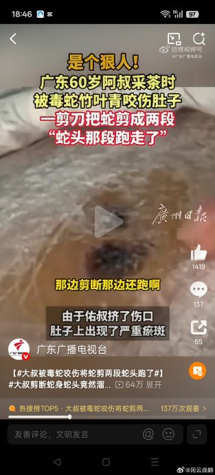 为什么断头的竹叶青蛇头还能逃跑咬人？