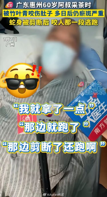 蛇被剪断蛇头后为什么还能逃跑和咬人？