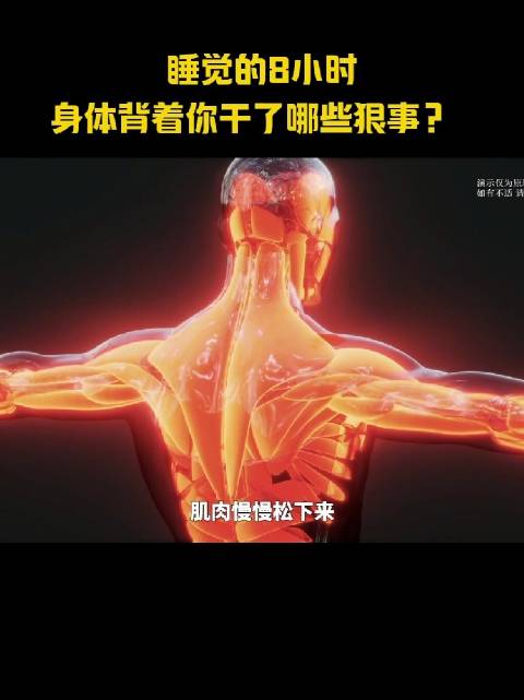 睡眠的8个小时，身体背着你都干了什么狠事……？