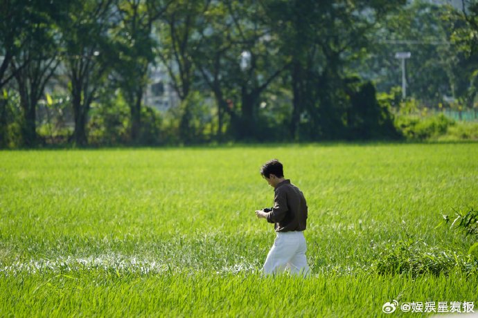 李现拍摄新剧《雾里青》时如何兼顾摄影？