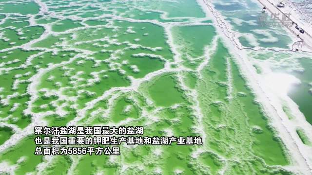 夏日察尔汗盐湖好美