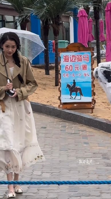关晓彤被海鸥撞到的脑门受伤了吗？