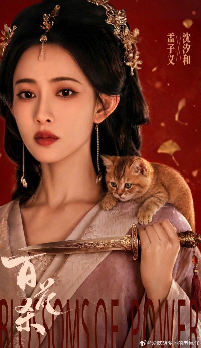 陈学冬和孟子义合作的电视剧《百花杀》剧情介绍