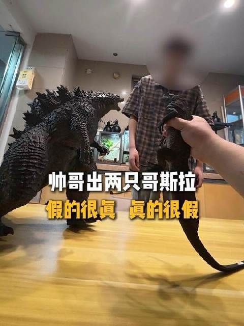 酷哥召唤双生哥斯拉，虚实难辨，真伪莫测， 斑帆蜥 异宠