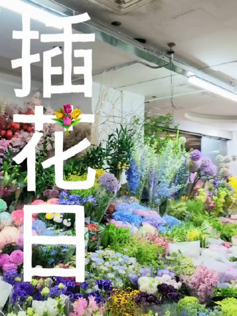 殷桃插花vlog展现生活多彩面，花少8表现引期待