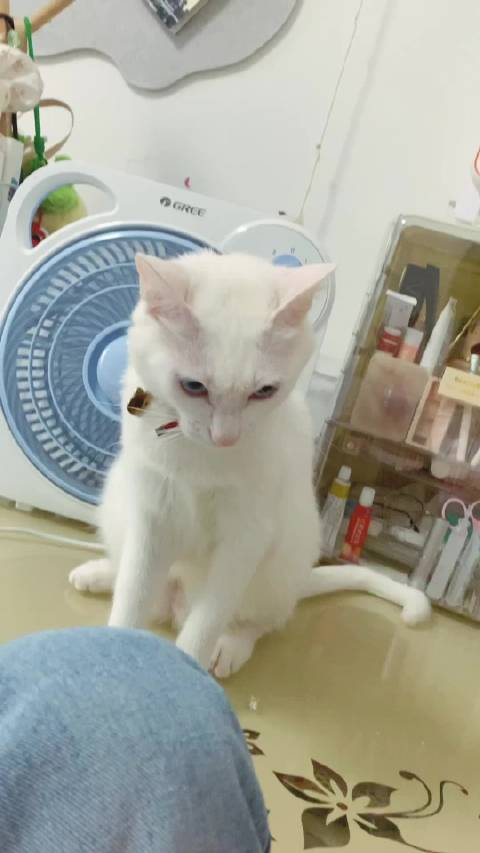 满月这个凶狠