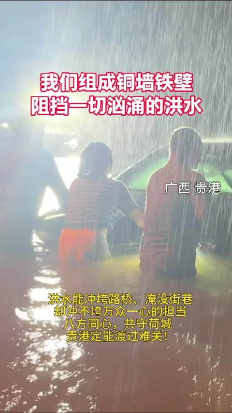 我们组成铜墙铁壁，阻挡一切汹涌的洪水