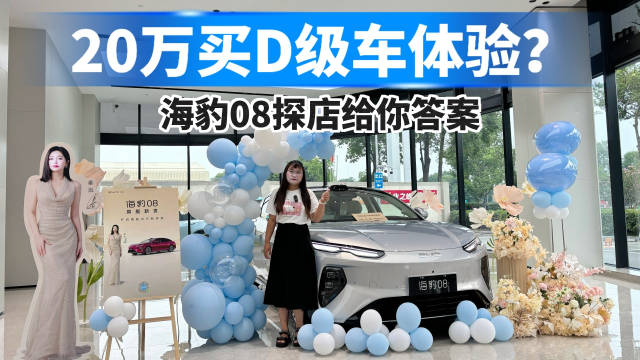 20万买D级车体验？海豹08探店给你答案！