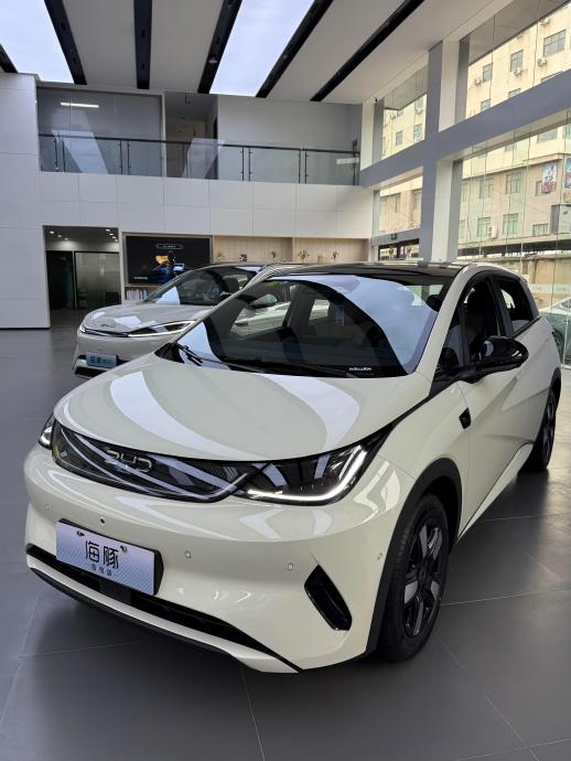 2025款比亚迪海豚智驾版的安全辅助配置有哪些？