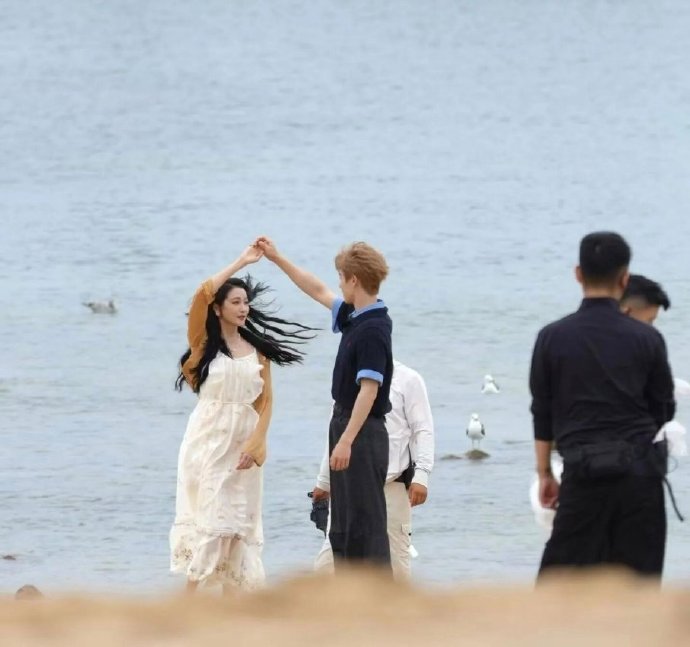 其他明星海边拍摄时遇到过海鸥袭击吗
