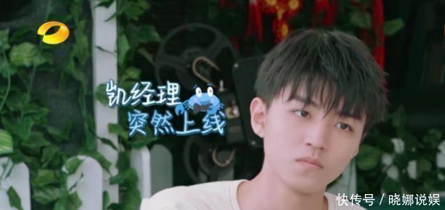 原创19岁王俊凯节目开车，夸赞秦海璐颜值高，对杨紫举动尽显绅士风范 - 360娱乐