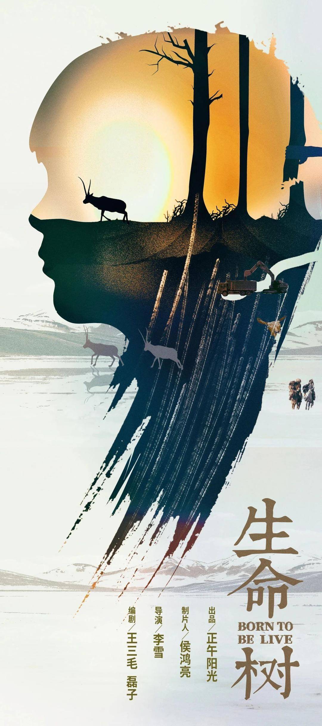 正午阳光辟谣：《生命树》还在筹备阶段，勿信网传消息