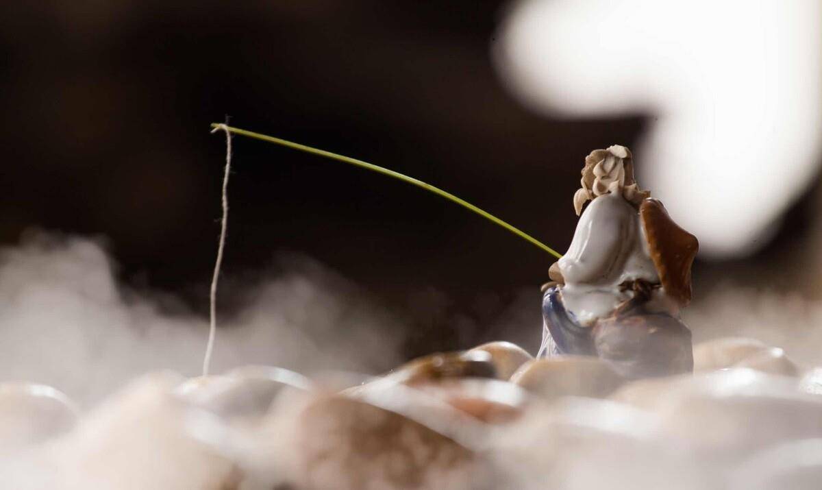 姜太公钓鱼，愿者上钩！原来是这个意思
