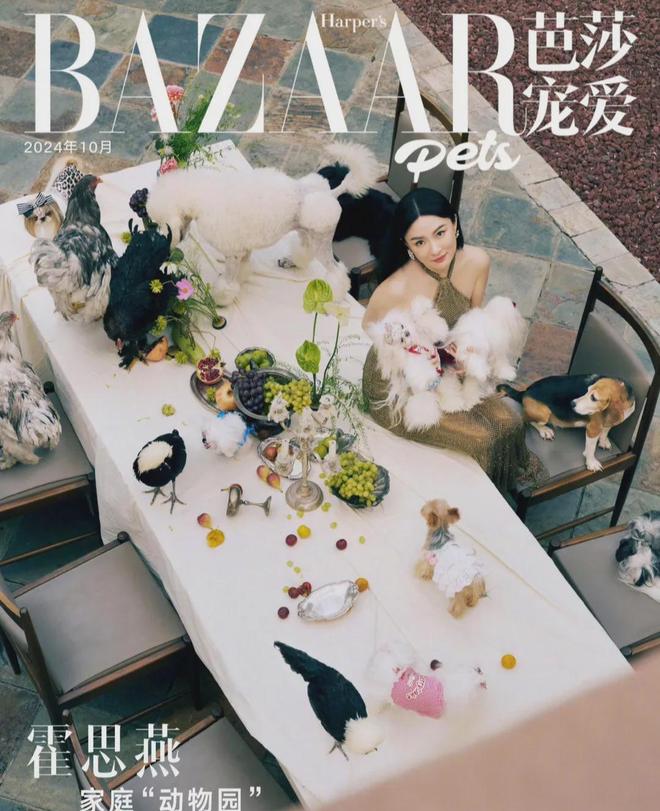 看了43岁霍思燕携宠物拍封面的照片，我才明白“女人微胖”是极品