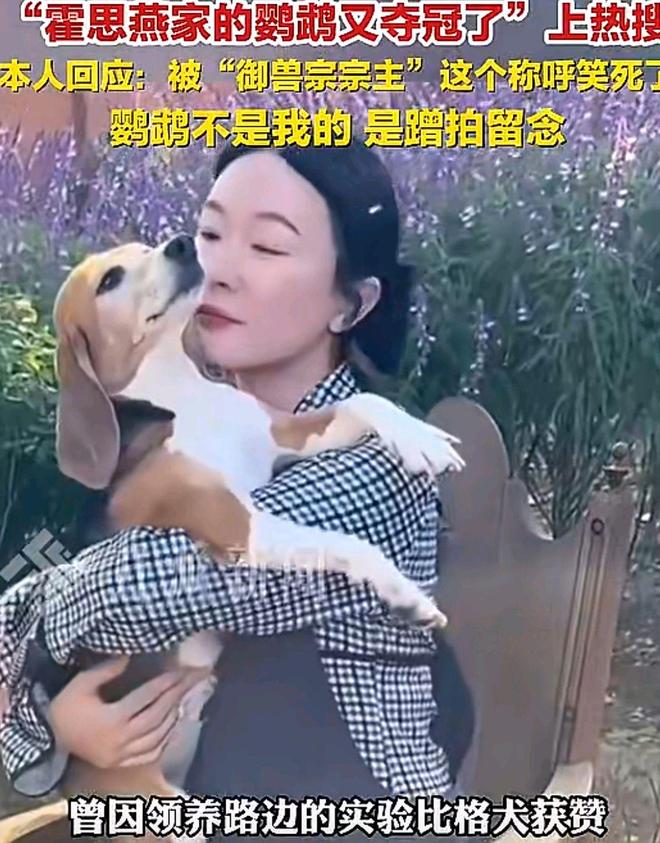 霍思燕否认自家鸟夺冠，那是在泰国蹭拍留念，被新封号逗笑了