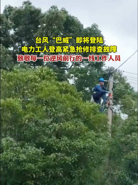 台风巴威来袭电力工人高空抢修保供电