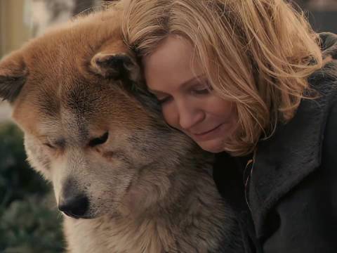 电影《忠犬八公的故事》诠释十年等待的忠诚