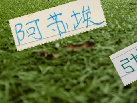 今年中超被激活球员 有申花阿苏埃 北京国安张玉宁 重庆的阿马杜