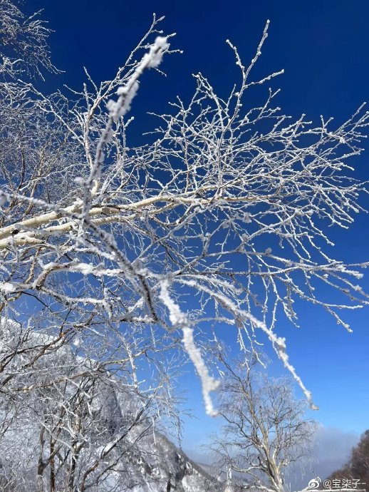 第一次独自长途旅行去希尔顿八月求经验