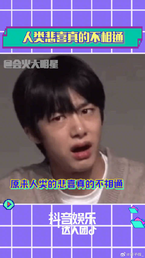 许魏洲 刘诗诗 娱乐达人团