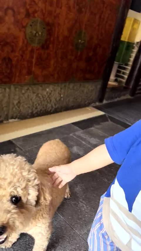 大口吃肉～ 逮仔仔耳朵