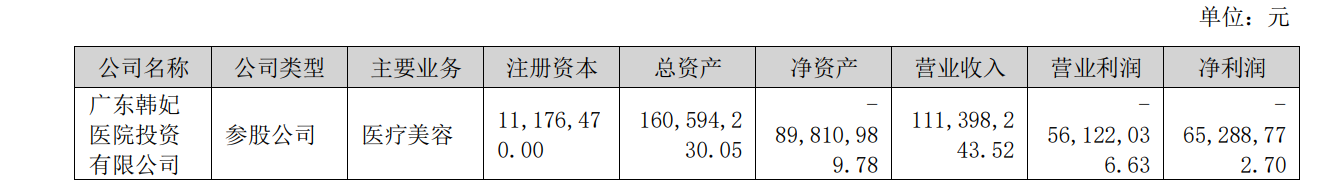 圖/金髮拉比2025年年報截圖