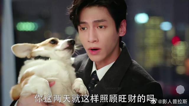 弟弟虐待狗子，下秒霸总发火，弟弟肠子都悔青了