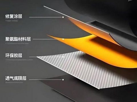 新能源时代的国产替代，奥运冠军推荐的性价比品牌