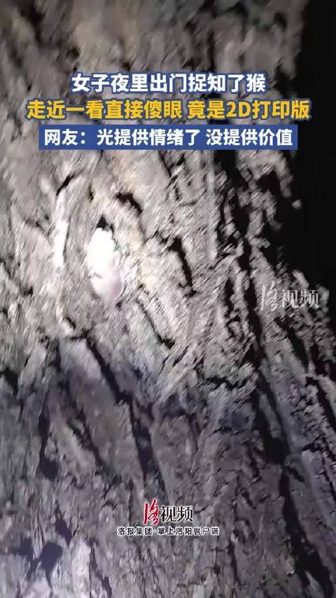 女子半夜抓知了猴抓到2D打印版