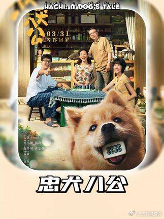 忠犬八公：一块骨头的约定，竟成未完成的遗憾