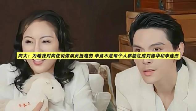向太：为啥我对向佐说做演员挺难的 毕竟不是每个人都能红成刘德华和李连杰