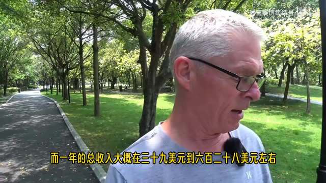 反华网红数据曝光，百万大V月收入上限仅35美金