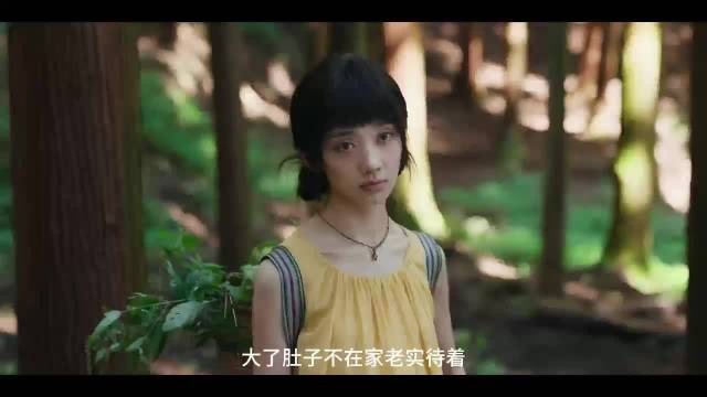 电视剧小芳主演阵容公布，王璐璐辛云来领衔
