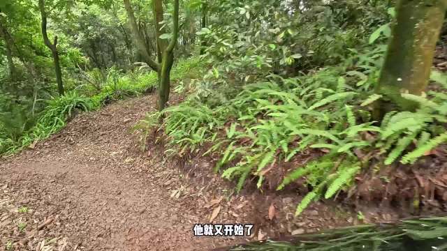 福特烈马蠕行模式征服30度湿滑陡坡
