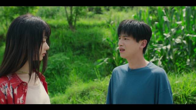 电视剧小芳热播，王璐璐辛云来领衔主演