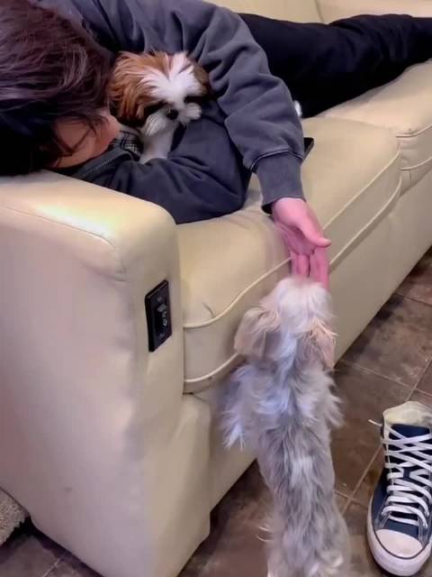 小呆呆真的好乖 檀健次