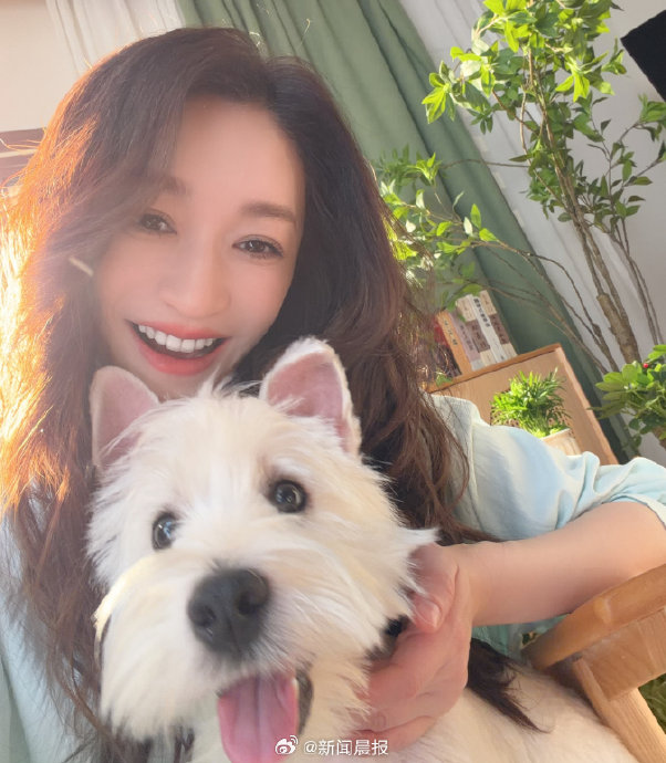 李小冉和徐佳宁的感情现状如何？