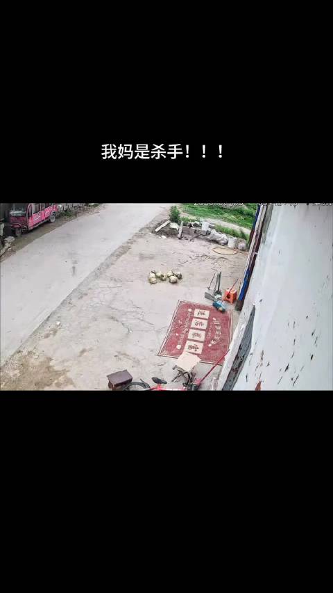 《父母爱情》是在我奶噶之后！从妈宝男到媳妇奴的爸爸