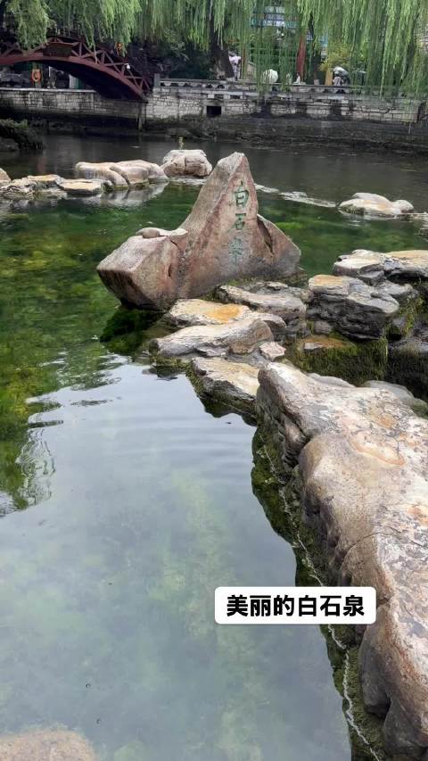 母子首次取泉水为热带鱼换水，棒棒独立能力获提升