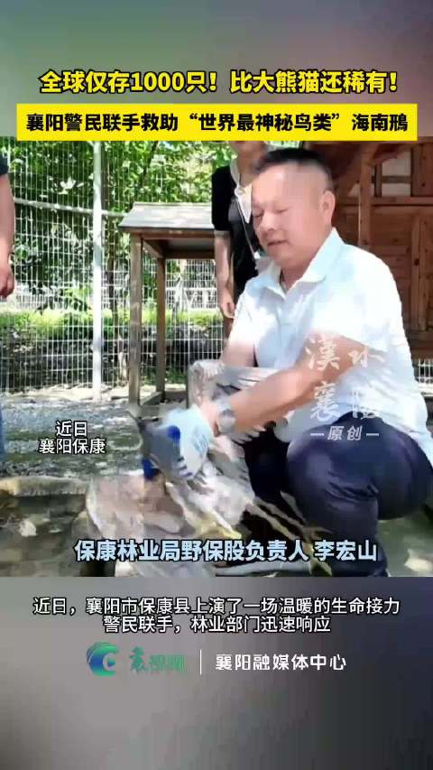 襄阳警民联手救助全球仅存千只海南鳽