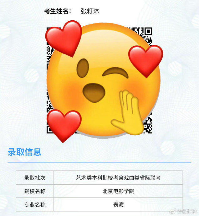 张籽沐的演艺经历
