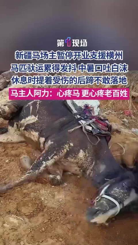 新疆夫妇牵马驰援广西村民投喂瓜果