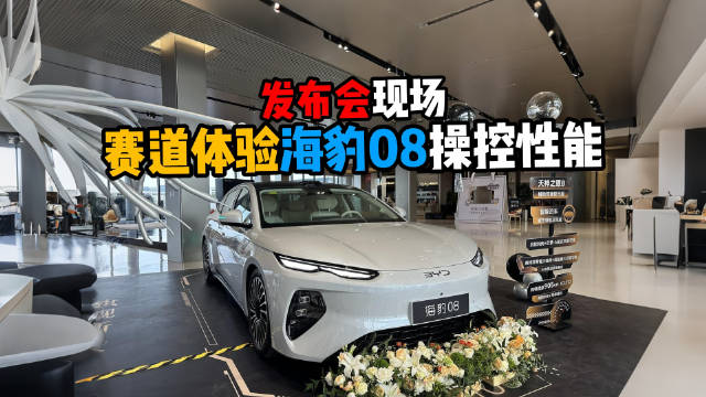 比亚迪海豹08上市，操控不输德系小钢炮高尔夫