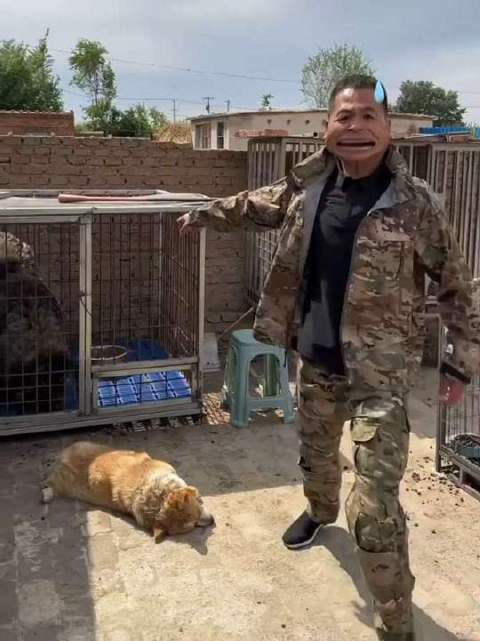 回望园区奥斯卡影后“肉墩子”的璀璨星途