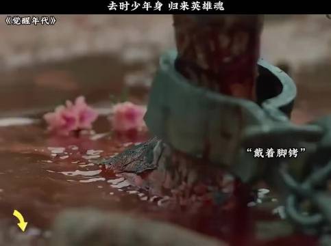 盛世中华，如你所愿，吾辈当自强 觉醒年代
