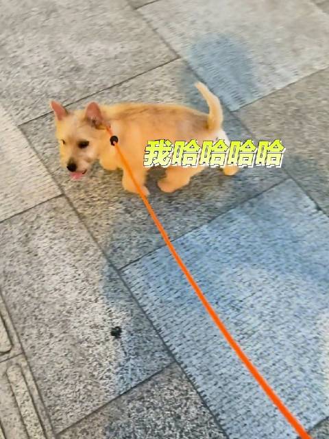 夏天营业时间到
