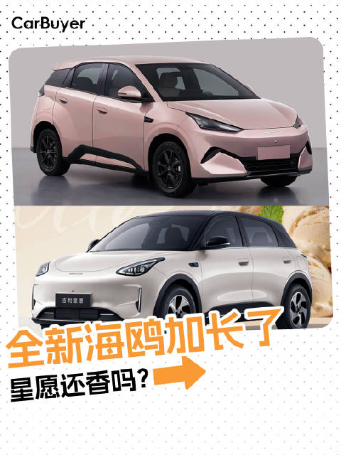 星愿的对手来了？全新海鸥加长又加智驾
