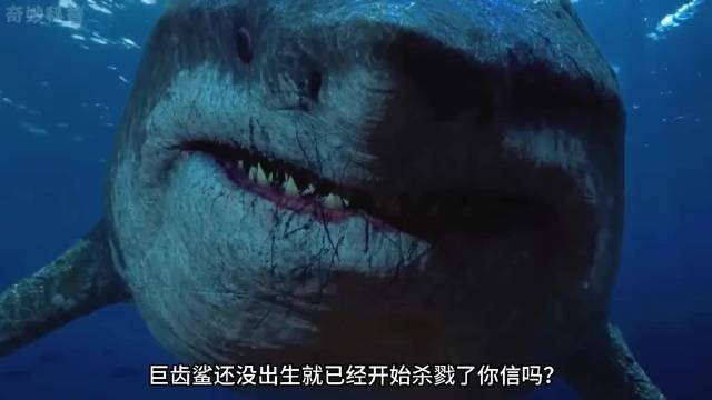 巨齿鲨统治海洋两千万年，神秘灭绝之谜
