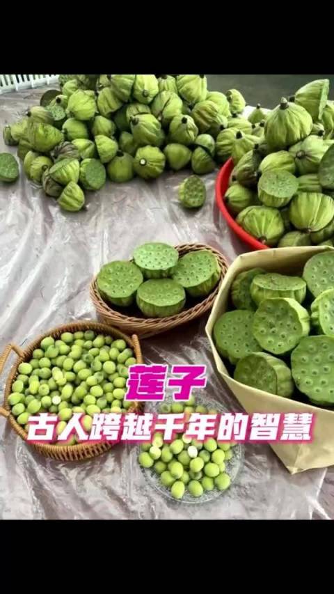 莲子的子原来是孩子的子啊、莲子、哪吒、甄嬛传